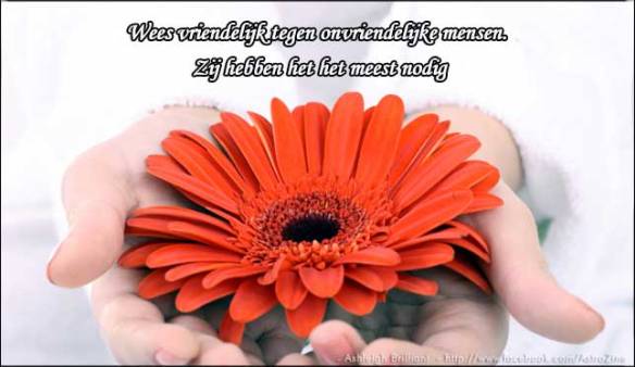 VRIENDELIJKHEID, KINDNESS, BE KIND, 