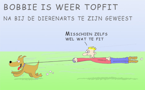 dierenarsten, grap, comic, animal doctor,