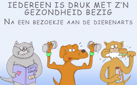dierenarsten, grap, comic, animal doctor,