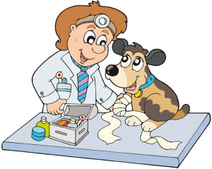 dierenarsten, grap, comic, animal doctor,