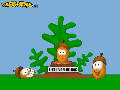 eikel, enorm eikel, eikel dag