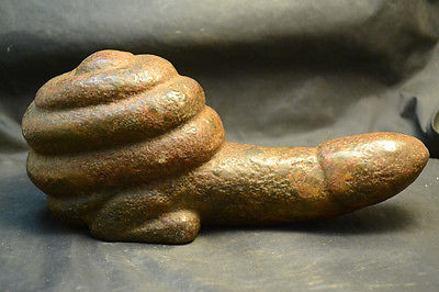 slakkenpenis, snail penis