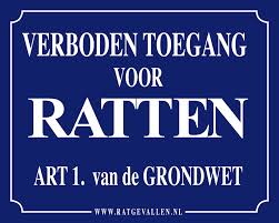 narcisme, narcistische mishandeling, ego, mensen zonder zelf