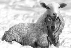 narcisme, narcistische mishandeling, ego, mensen zonder zelf