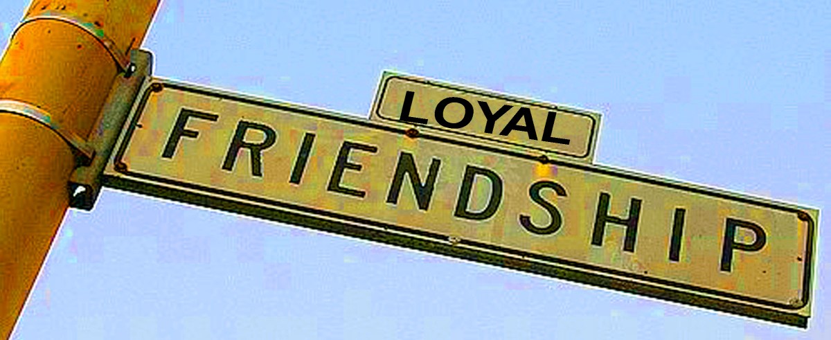 Kruimeltjes zijn ook koek, geluk is met de dommen, trouw wordt beloond