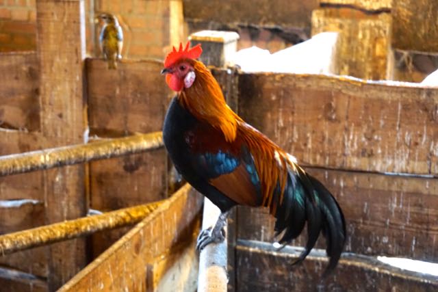 dan maak ik je toch gewoon weer wakker......