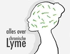 LYME DISEASE, ZIEKTE VAN LYME, lyme borreliosis,