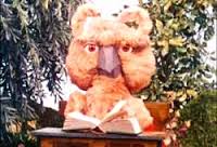 EUCALYPTA, PAULUS DE BOSKABOUTER, TOVERHEKS,, OEROENOEROE