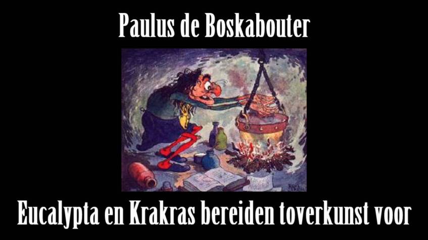 EUCALYPTA, PAULUS DE BOSKABOUTER, TOVERHEKS,