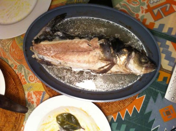 ©TOVERHEKS.COM, KWEEPEREN PLUKKEN, PERENOOGST, vrouw in boom,