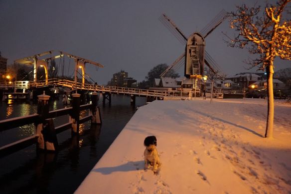 toverheks.com - 4 (10)