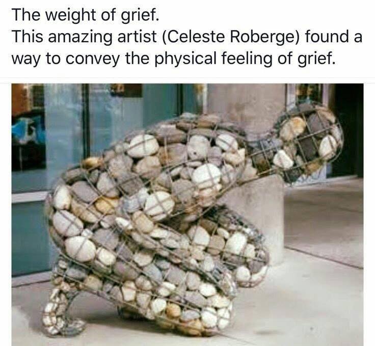 38801606_10155758160374537_172516638573199360_n